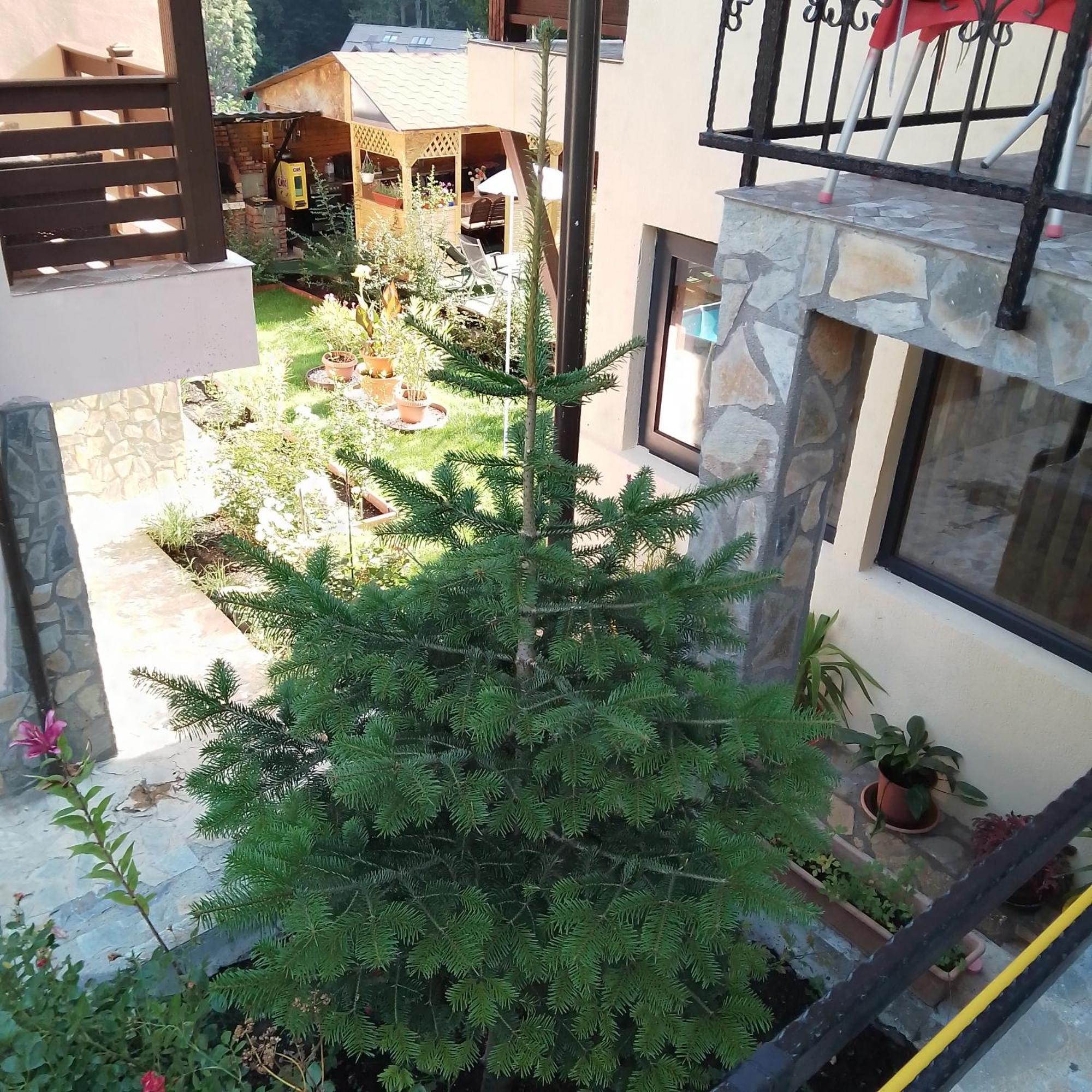 Casa Nicolas 부스테니 외부 사진